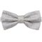 LIGHT SILVER WITH IVORY PAISLEY BOW TIE