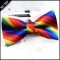 Boys Rainbow (3) Bow Tie