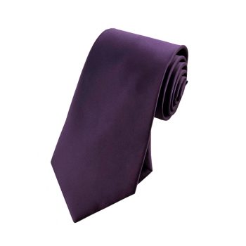 Boys Grape Eggplant Purple Tie