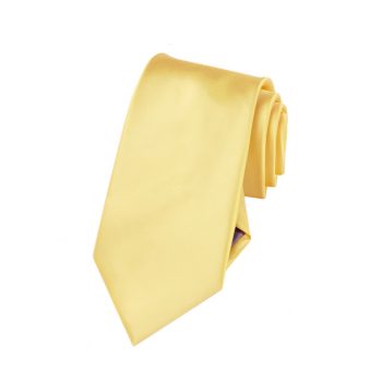 Boys Light Gold Yellow Tie
