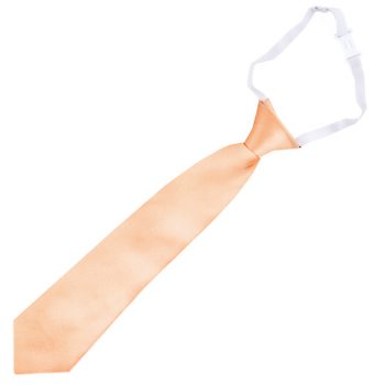 Apricot Peach Junior Boys Elasticated Tie
