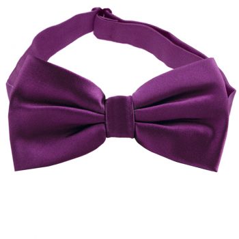 Plum Grape Purple Bow Tie