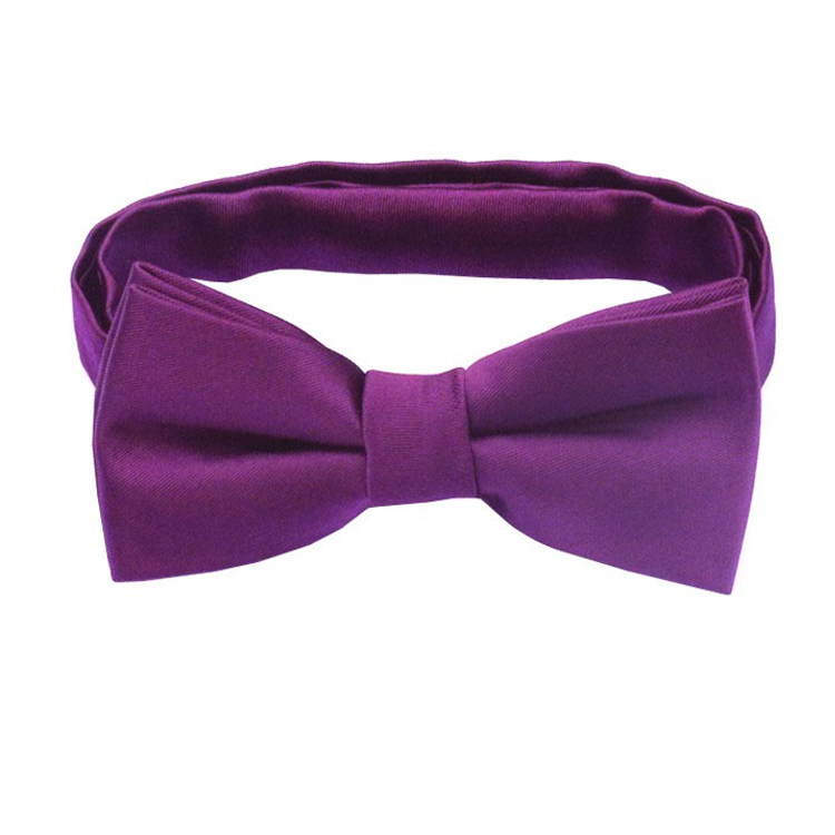Plum Grape Purple Boys Bow Tie