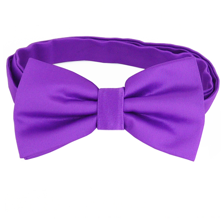 Violet Purple Bow Tie