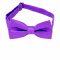 Purple Boy's Bow Tie Nz