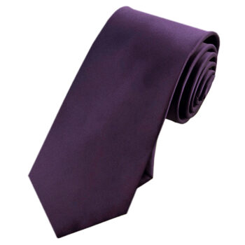Eggplant Aubergine Purple Slim Tie